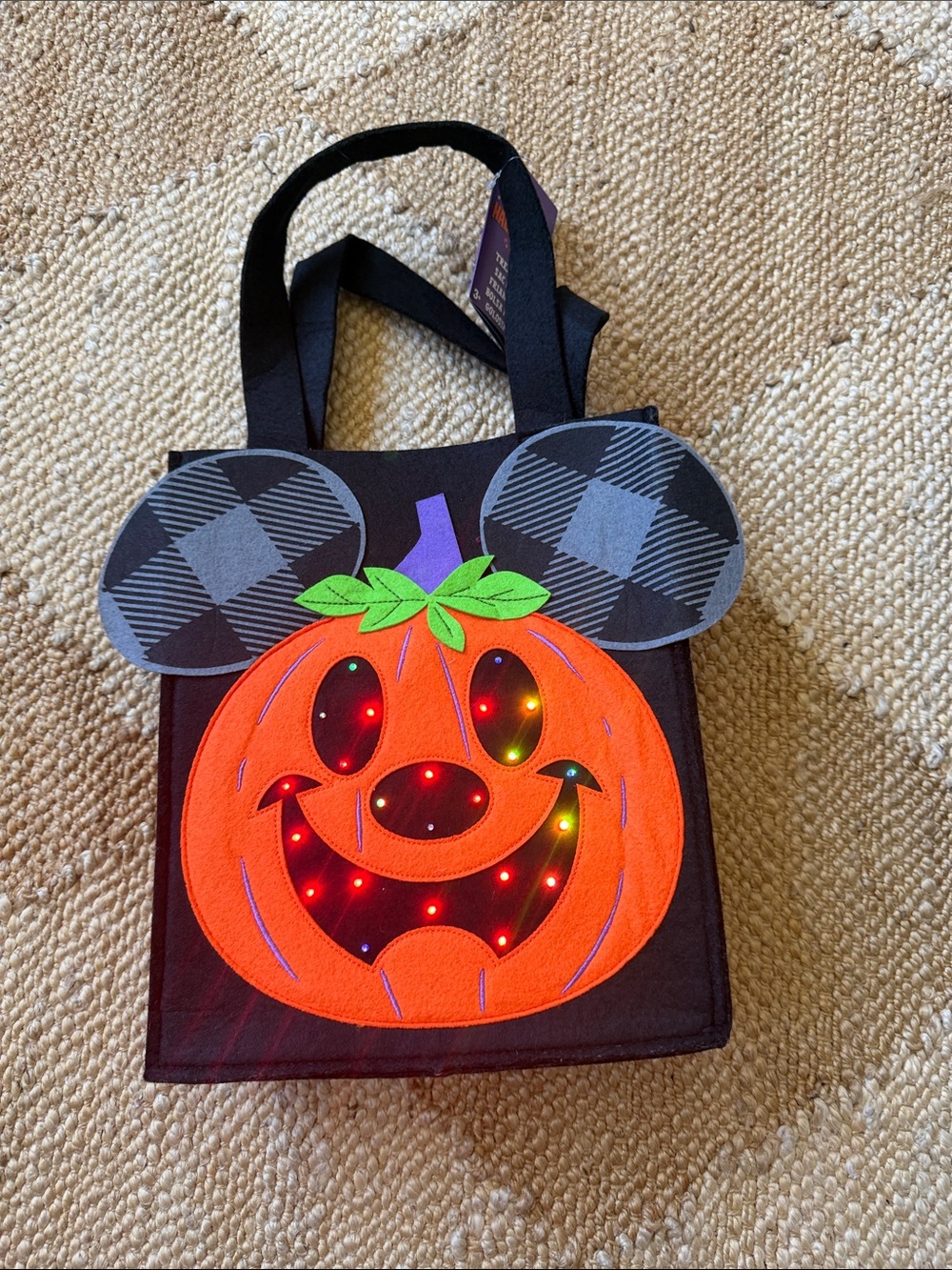 Disney Parks Trick or Treat light up bag